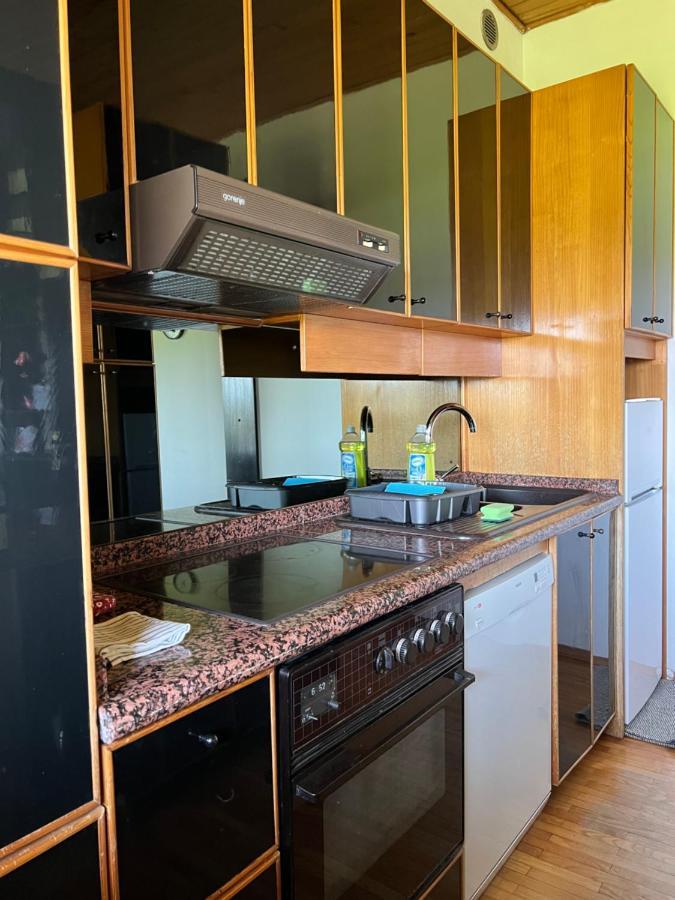 Apartment In Ljubljana Eksteriør bilde