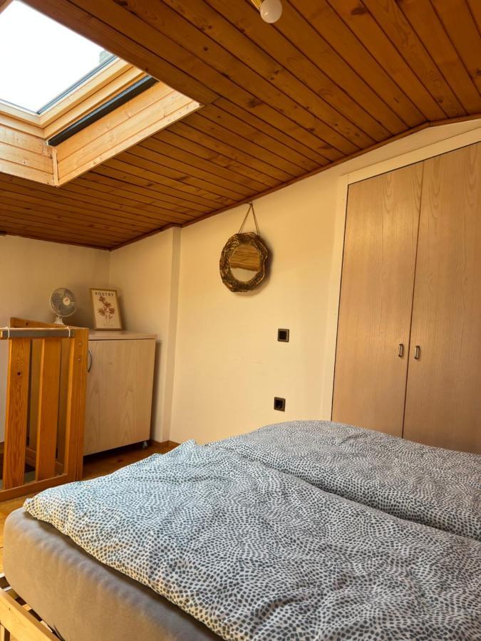 Apartment In Ljubljana Eksteriør bilde